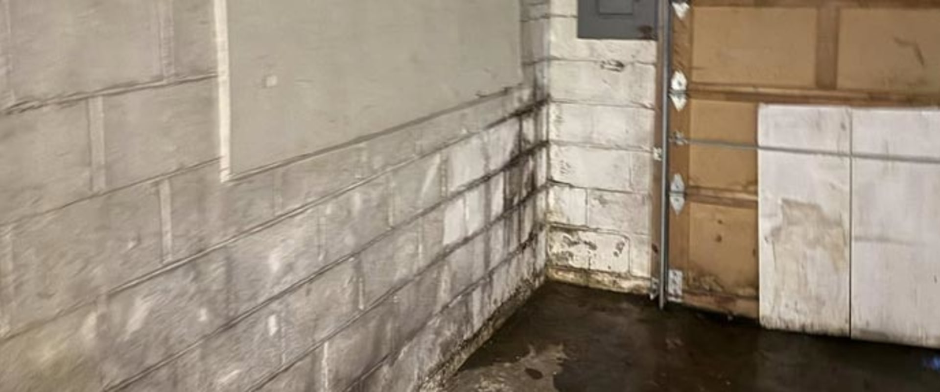 Professional Water Damage and Foundation Repair in St. Louis Park