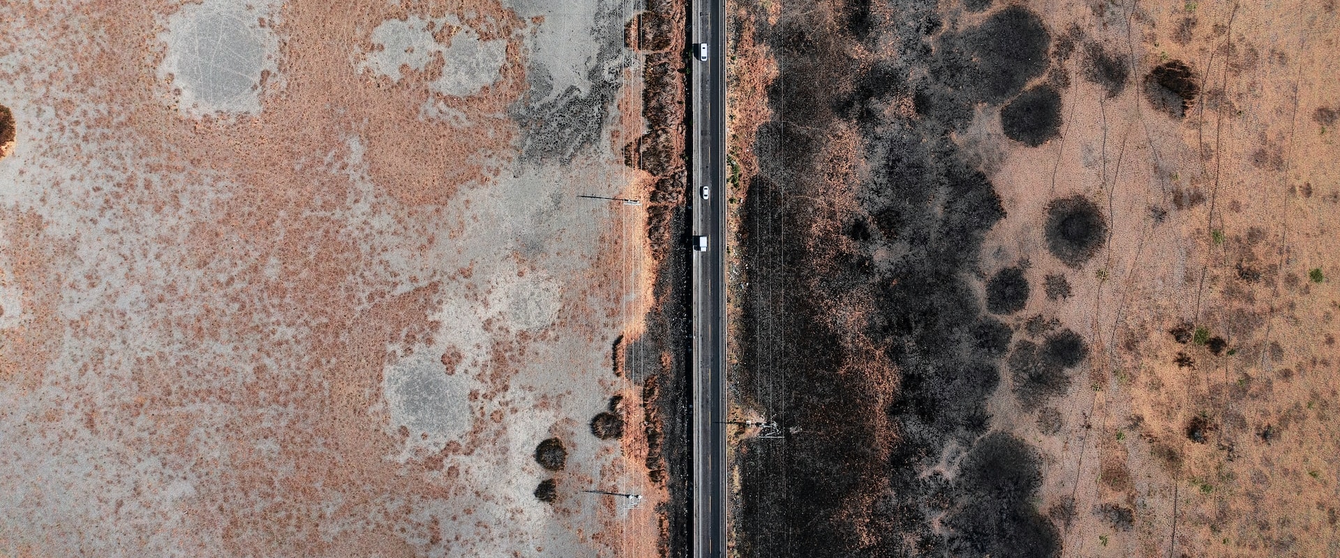 Preventing Mold Damage During Foundation Repair: Tips For Homeowners In Hollywood, FL