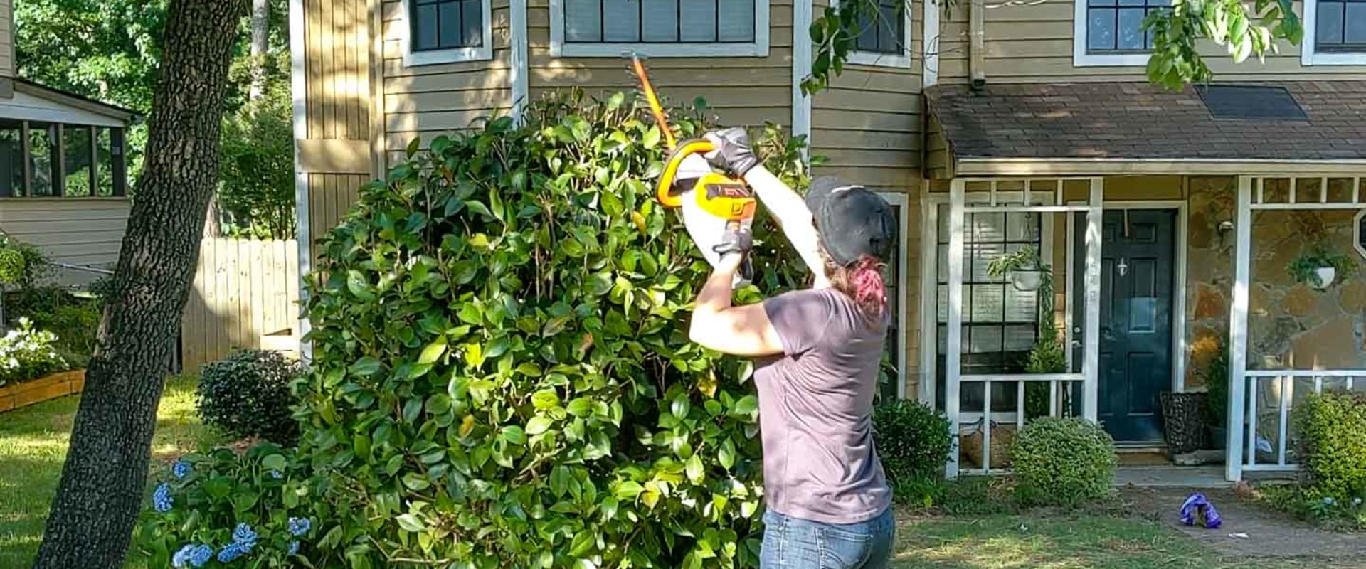 Professional Tree Care for Virginia Beach Homeowners