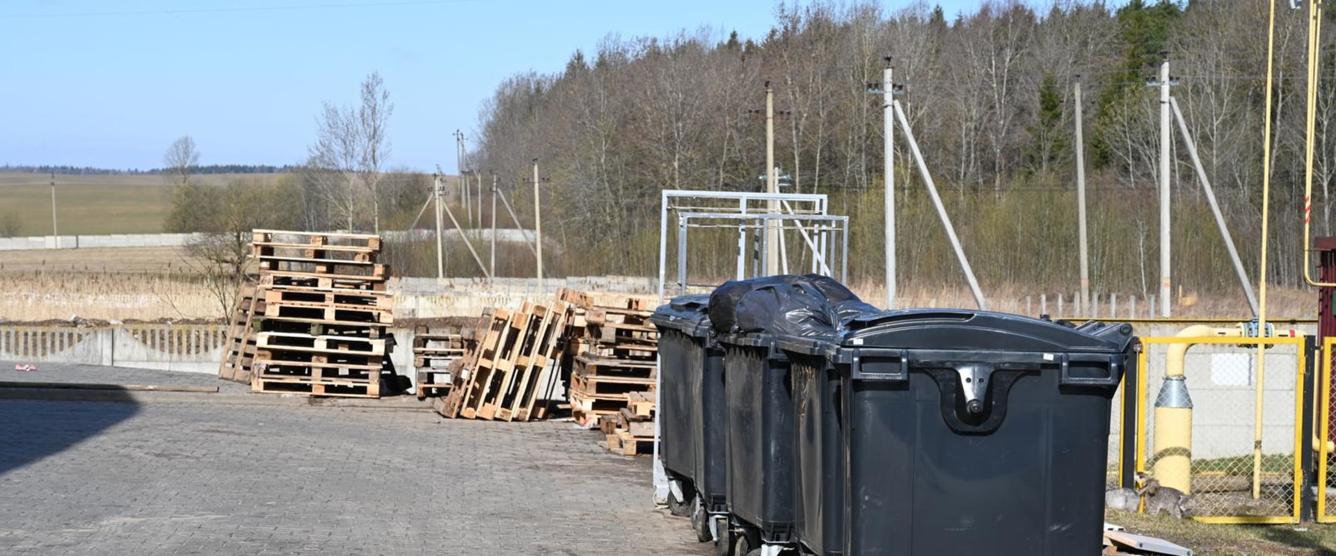 The Importance Of Trash Bin Rental When Doing A Foundation Repair In Desoto