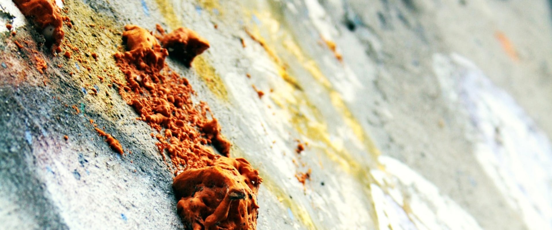 Protect Your Home with Expert Foundation Repair and Mold Remediation