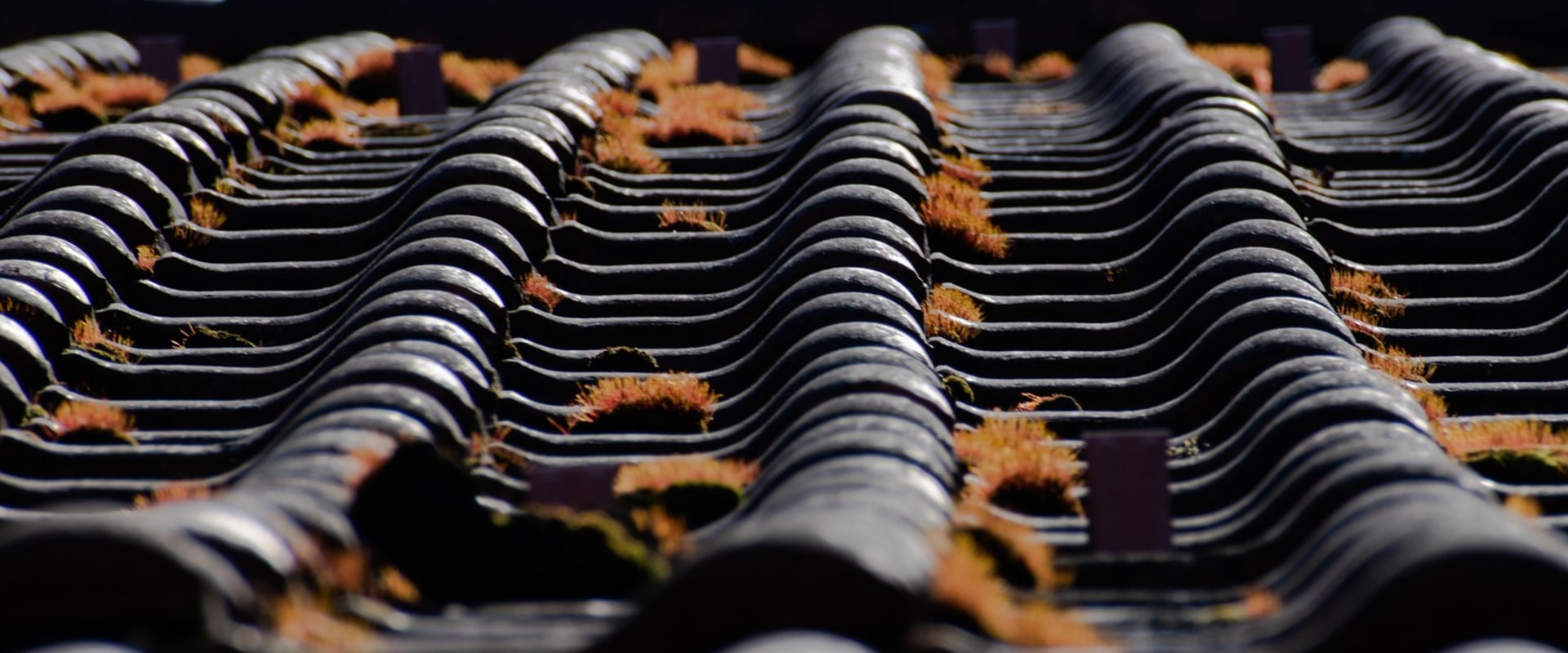 Ensure Your Home's Safety with Roof Repairs Post-Foundation Fix
