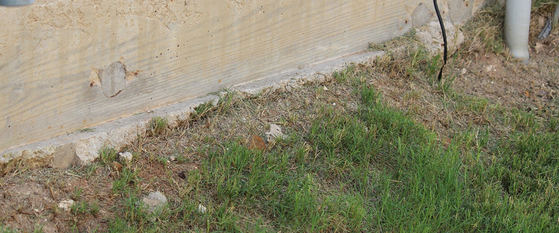 Preventing Costly Damage: How Rodent Control Services Can Benefit Your Orlando Foundation Repair