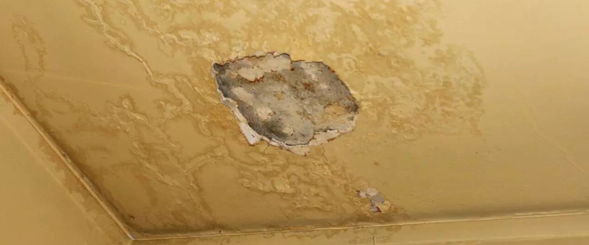 The Silent Signals Your Home Sends Before Foundation Damage Appears