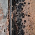 Preventing Mold Damage During Foundation Repair: Tips For Homeowners In Hollywood, FL