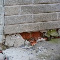 Can foundation repair cause more damage?