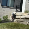How Can A Lawn Sprinkler System Contractor In Omaha, NE, Help Prevent Foundation Repair Issues?