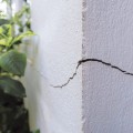 Secure Your Foundation Repair Investment In Paradise, NV By Starting With Pest Management