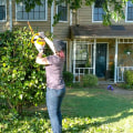 Professional Tree Care for Virginia Beach Homeowners