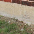 Preventing Costly Damage: How Rodent Control Services Can Benefit Your Orlando Foundation Repair