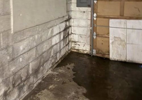 Professional Water Damage and Foundation Repair in St. Louis Park