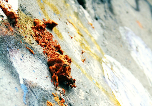 Protect Your Home with Expert Foundation Repair and Mold Remediation