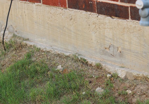 Preventing Costly Damage: How Rodent Control Services Can Benefit Your Orlando Foundation Repair