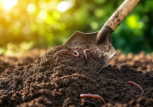 Why Soil Conditions Play a Critical Role in Successful Foundation Repair